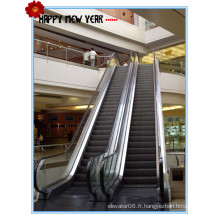 600mm, 800mm, largeur de pas de 1000mm, 30 &amp; Degand 35 &amp; Deg Vvvf Escalator intérieur / extérieur avec le prix concurrentiel